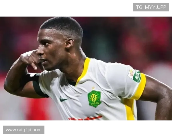 国安外援：在中国生活无忧 安全又舒心