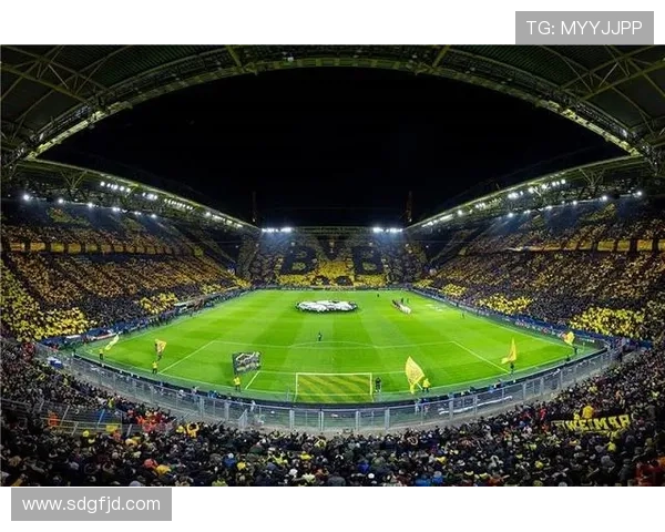 多特蒙德启动千万欧元新计划